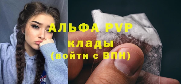 СК Касимов