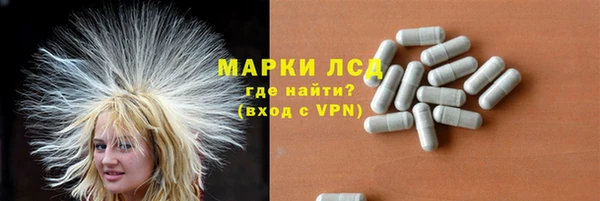 стаф Карталы