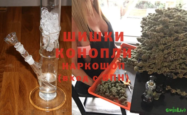 сатива Киренск