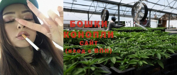 стаф Карталы