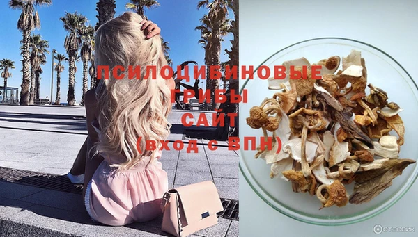 СК Касимов