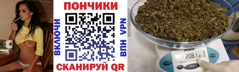 Купить где  Невельск  Каннабис конопля 